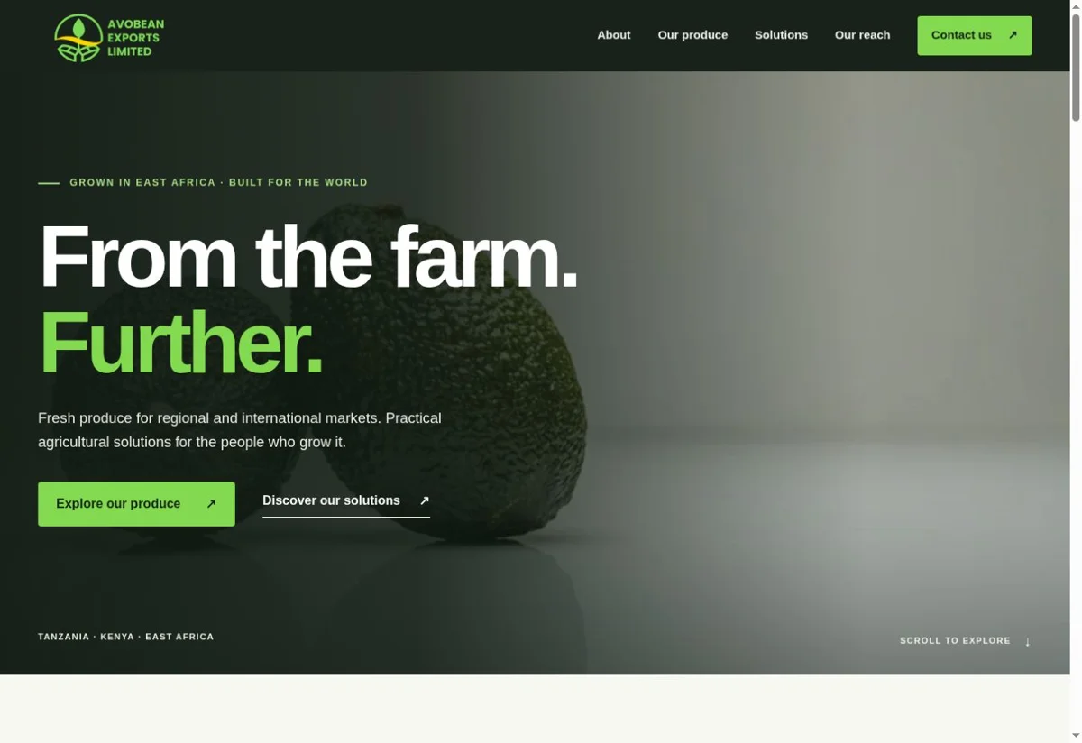 Avobean website homepage screenshot